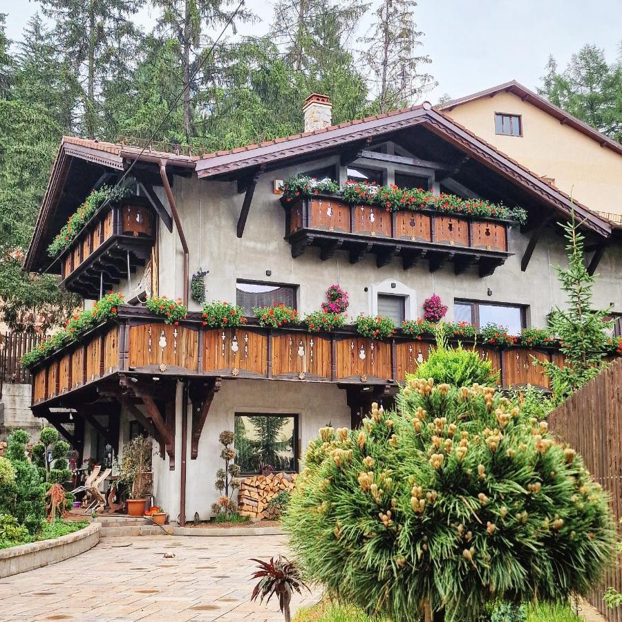 Amor Tirol Busteni (Adults Only) Bagian luar foto
