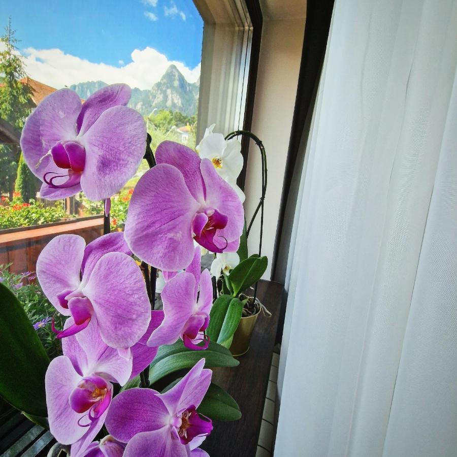 Amor Tirol Busteni (Adults Only) Bagian luar foto
