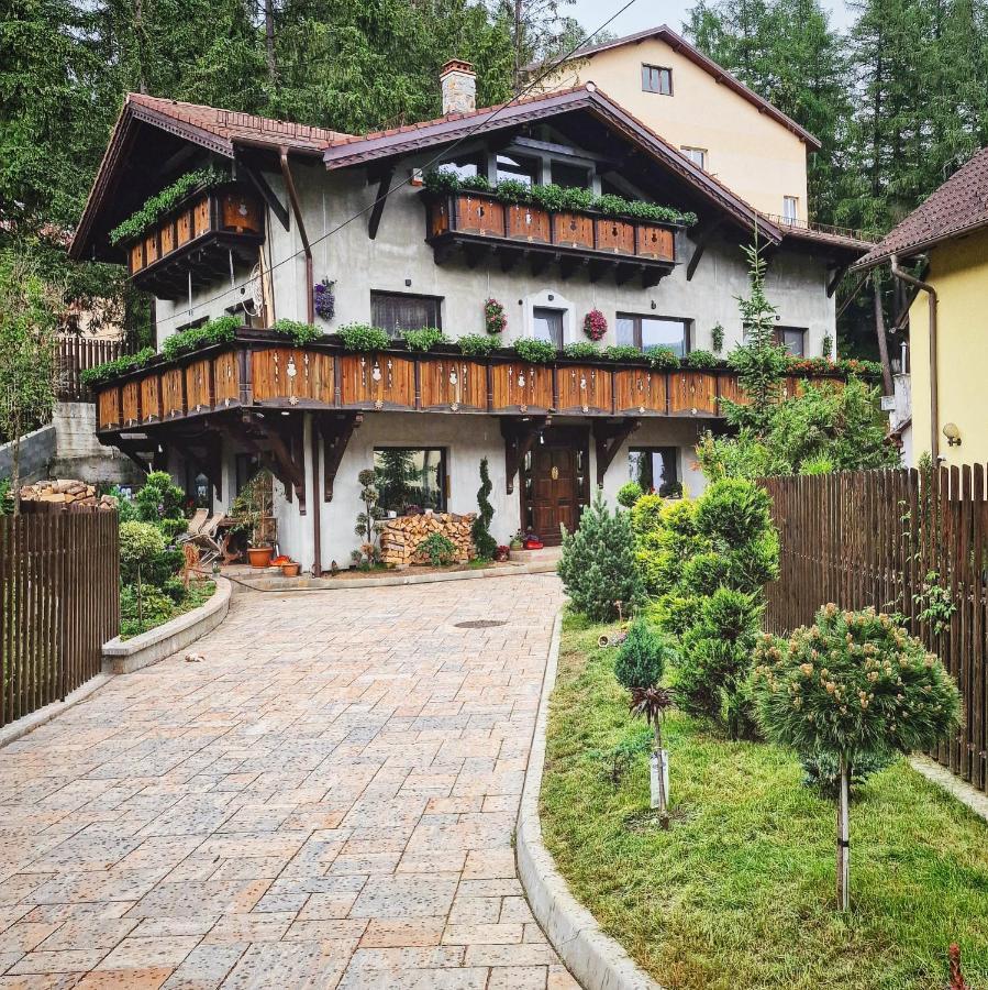 Amor Tirol Busteni (Adults Only) Bagian luar foto