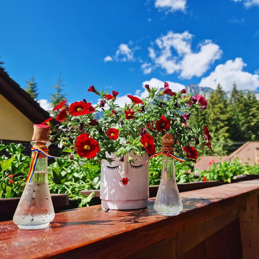 Amor Tirol Busteni (Adults Only) Bagian luar foto