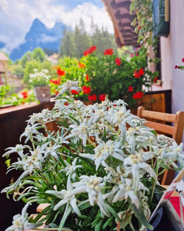 Amor Tirol Busteni (Adults Only) Bagian luar foto