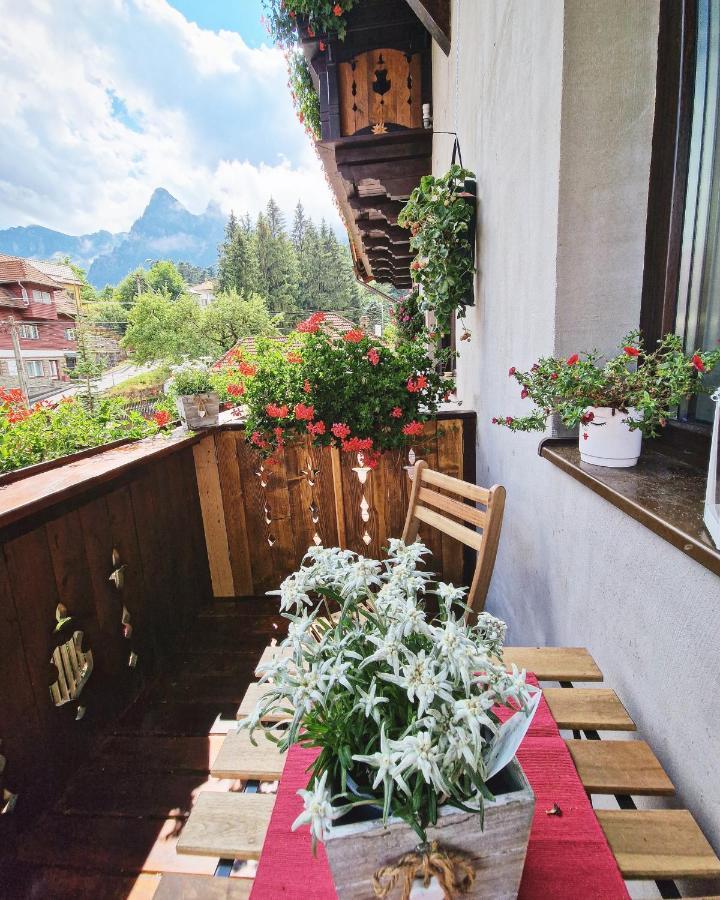 Amor Tirol Busteni (Adults Only) Bagian luar foto