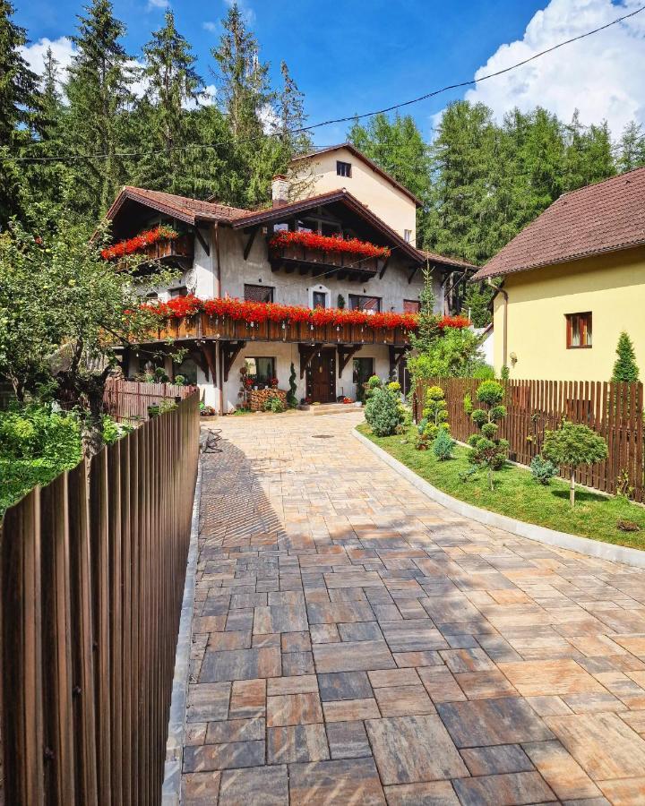 Amor Tirol Busteni (Adults Only) Bagian luar foto