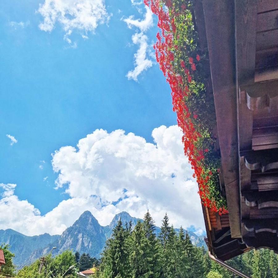 Amor Tirol Busteni (Adults Only) Bagian luar foto