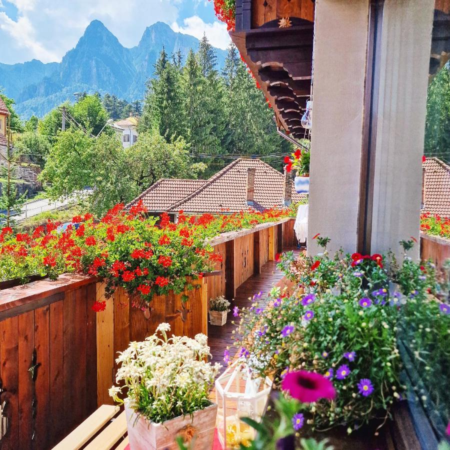 Amor Tirol Busteni (Adults Only) Bagian luar foto