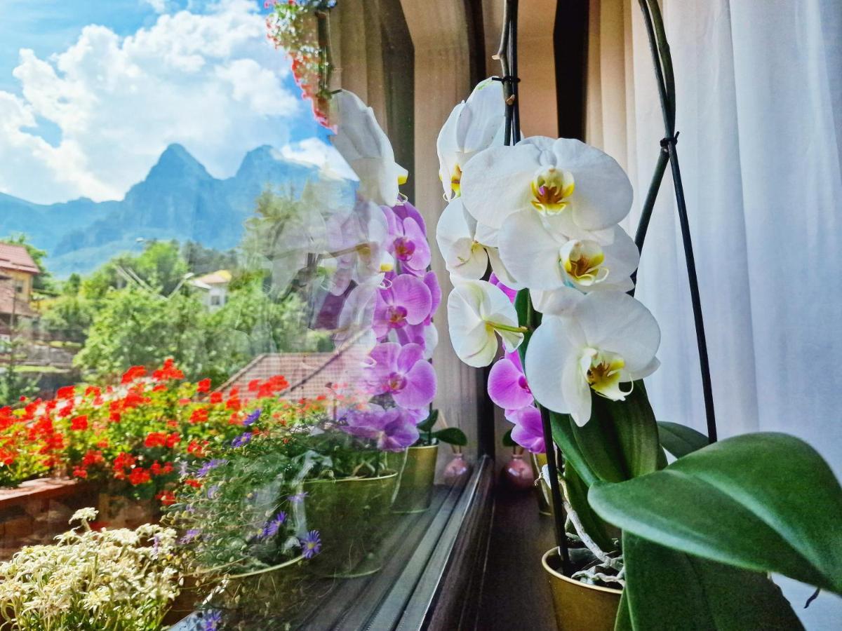 Amor Tirol Busteni (Adults Only) Bagian luar foto