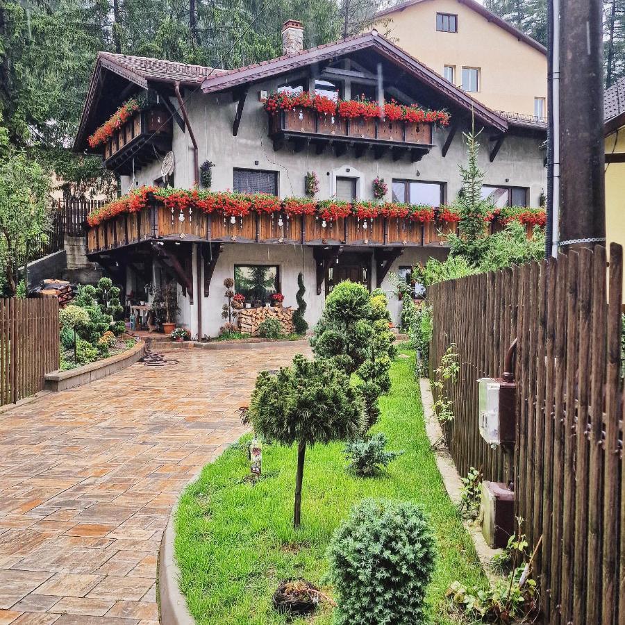 Amor Tirol Busteni (Adults Only) Bagian luar foto