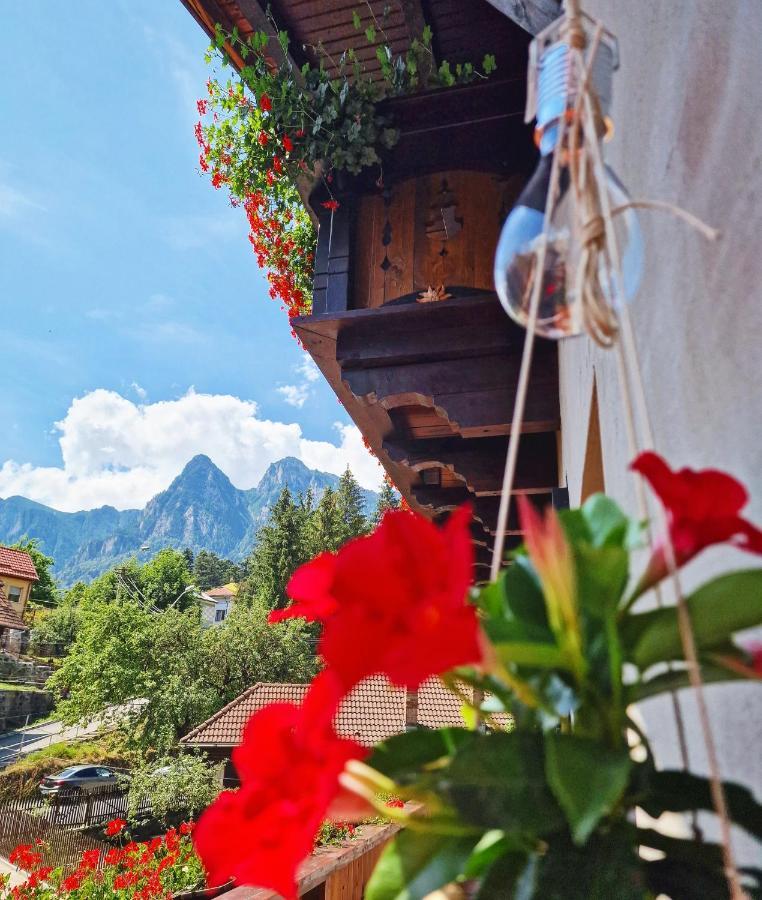 Amor Tirol Busteni (Adults Only) Bagian luar foto