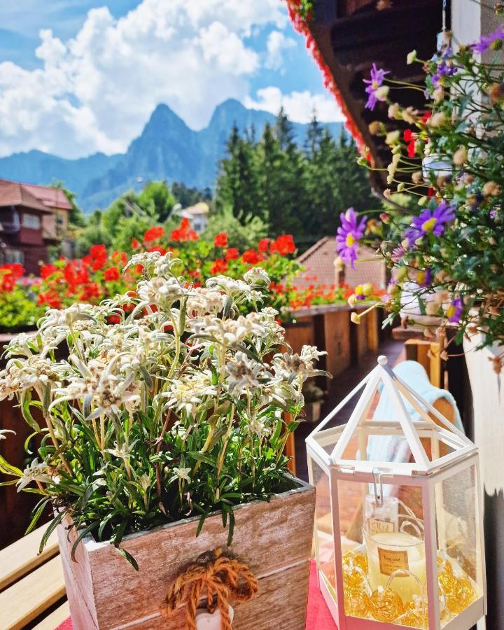 Amor Tirol Busteni (Adults Only) Bagian luar foto
