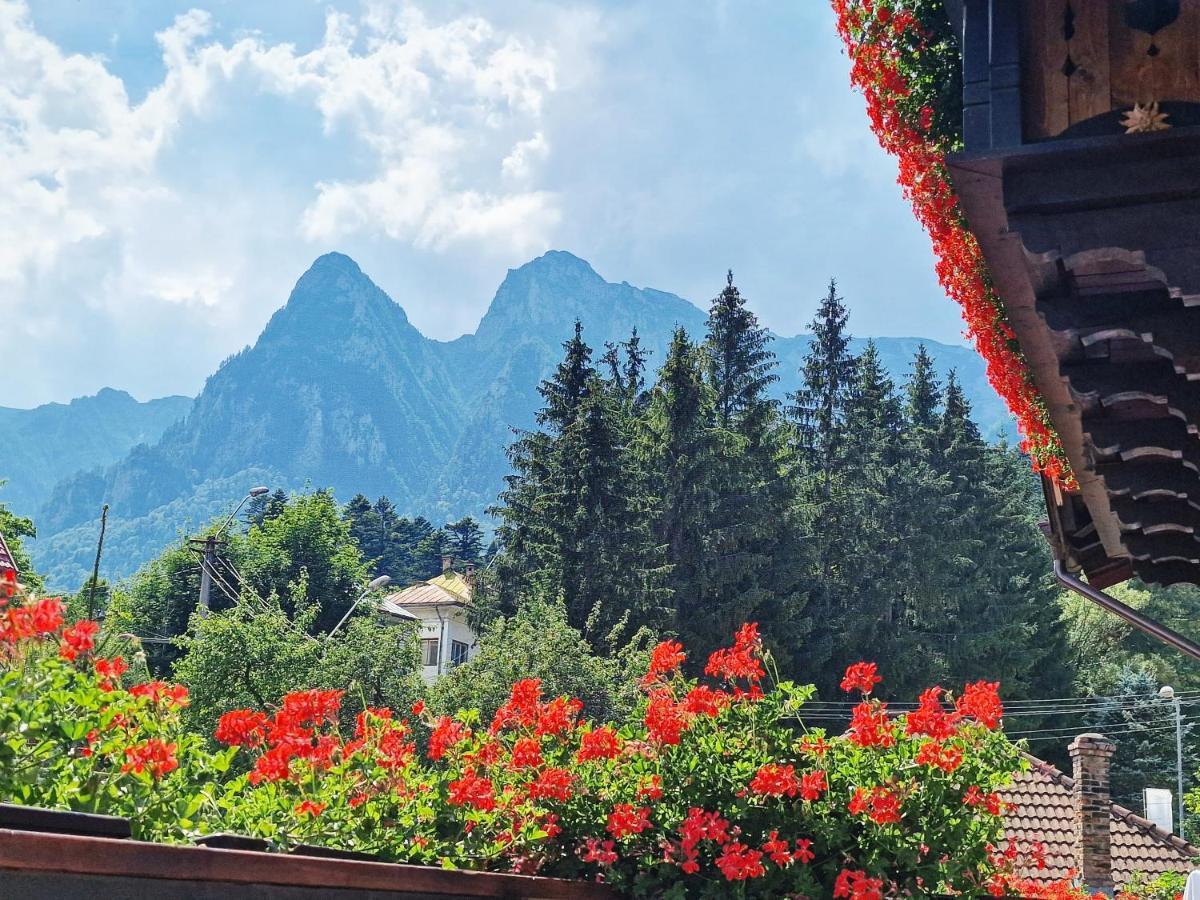 Amor Tirol Busteni (Adults Only) Bagian luar foto
