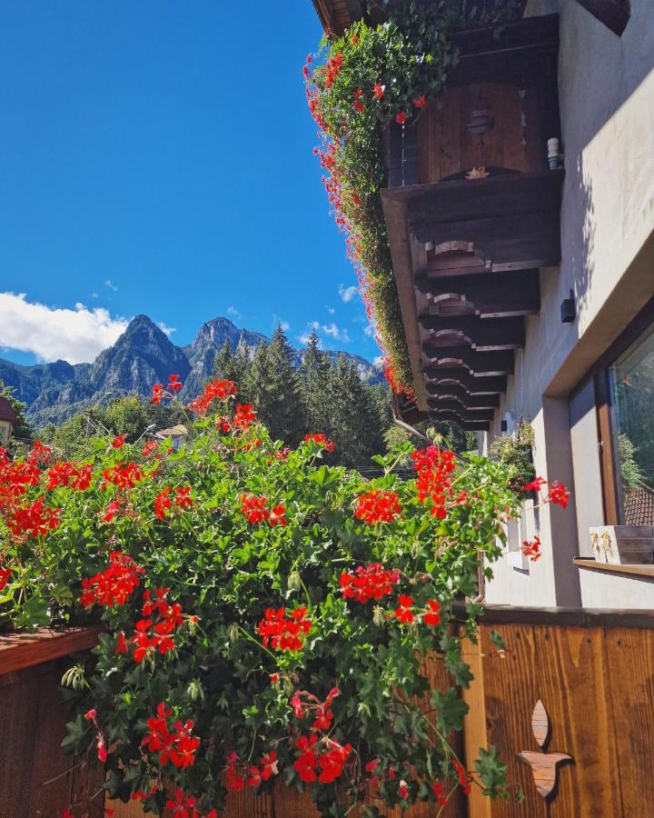 Amor Tirol Busteni (Adults Only) Bagian luar foto