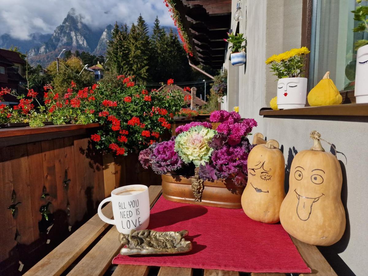 Amor Tirol Busteni (Adults Only) Bagian luar foto