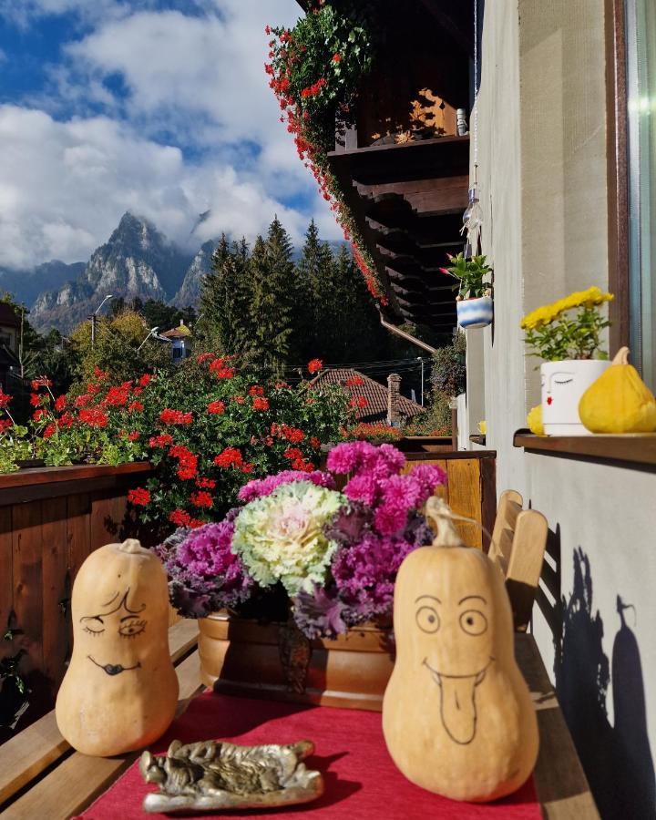 Amor Tirol Busteni (Adults Only) Bagian luar foto