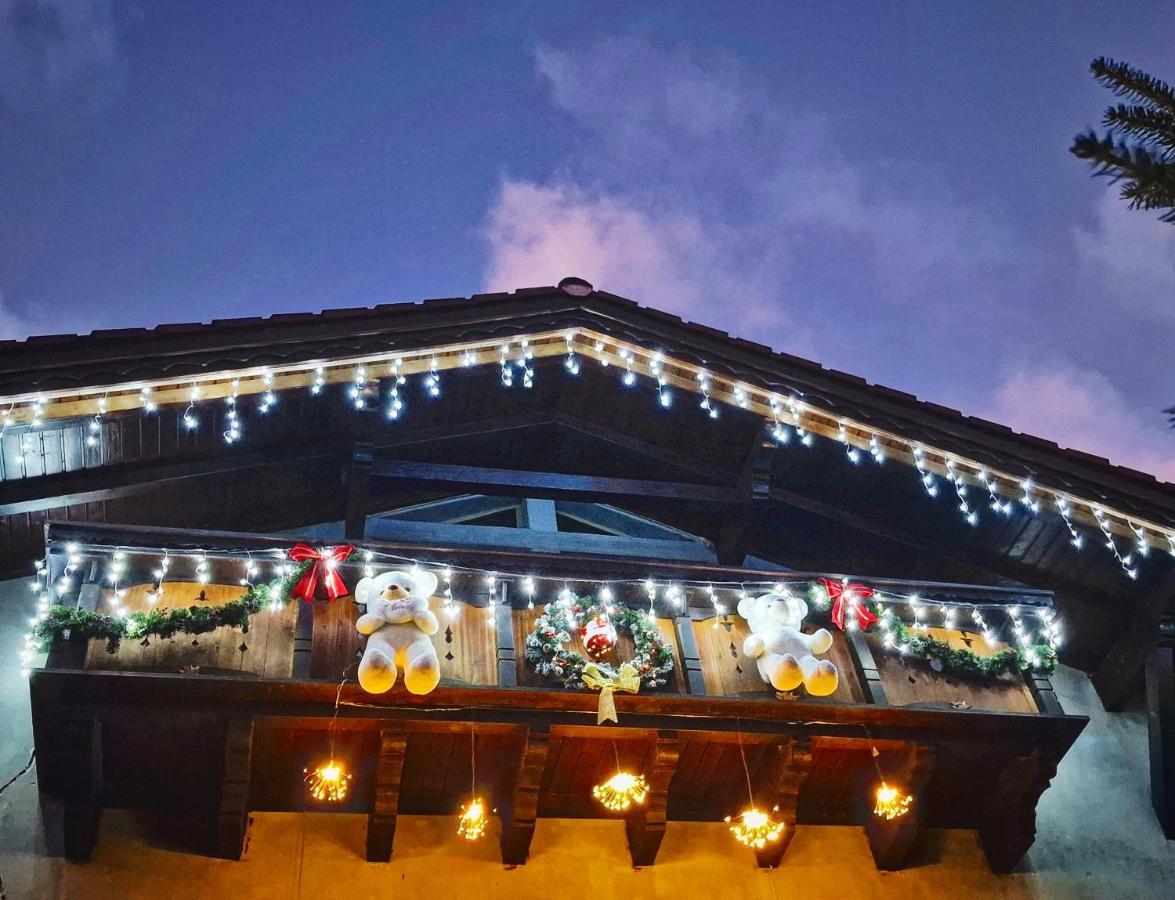 Amor Tirol Busteni (Adults Only) Bagian luar foto