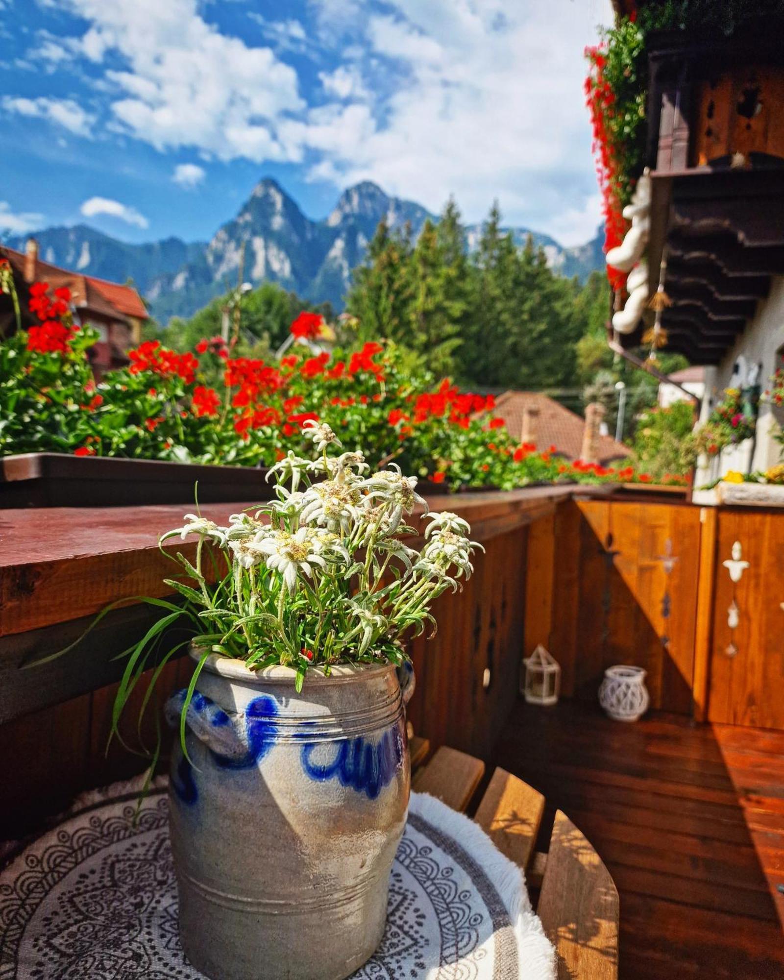 Amor Tirol Busteni (Adults Only) Bagian luar foto
